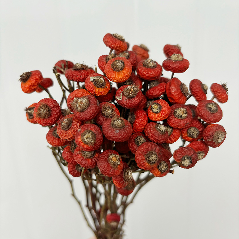 Dried Flower Bouquet - 10pcs/Bunch Dried Rose Hip Berries Flowers