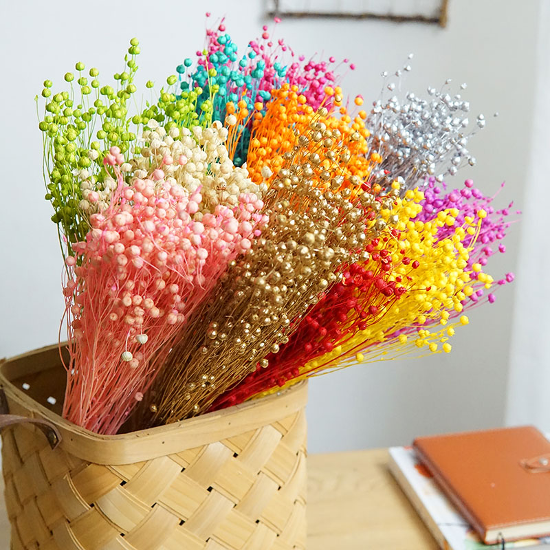Dried Flower Bouquet - 35g/Preserved Ormosia Hosiei Natural Real Flowers