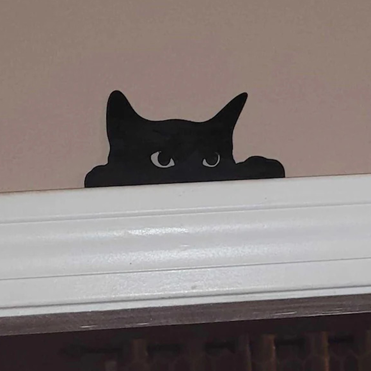 Home Decor Kolkata - 1 Pc Cat Looking Up Door
