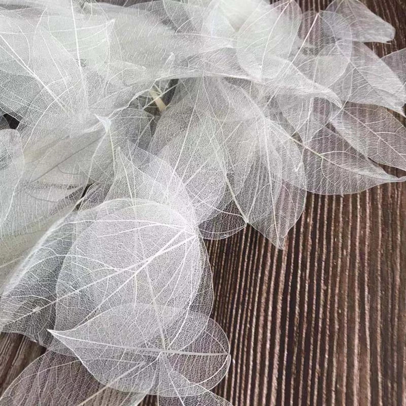 Dried Flower Bouquet - 5 ~ 9CM * 2 ~