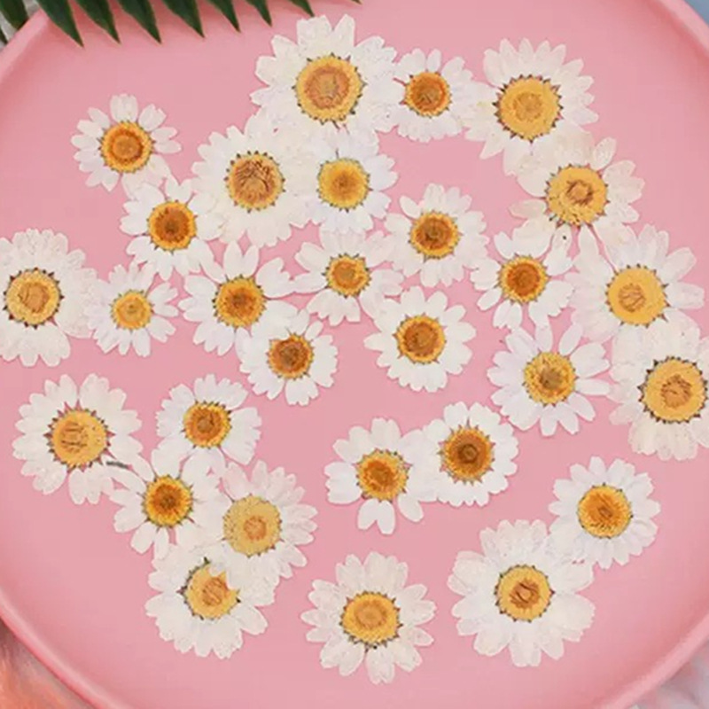 Dried Flower Bouquet - 100Pcs Natural White Crystal Chrysanthemum Daisy
