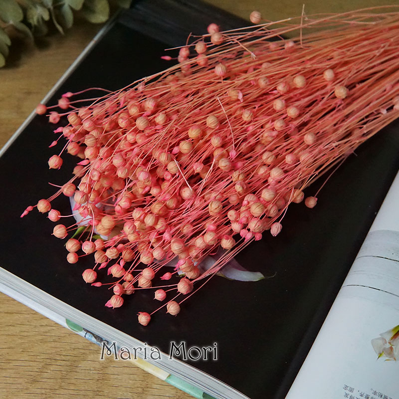 35g/Preserved Ormosia Hosiei N - đánh giá và giá Dried Flower Bouquet