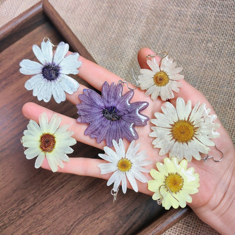Cute Plant Series Earrings Han - đánh giá và giá Dried Flower Bouquet