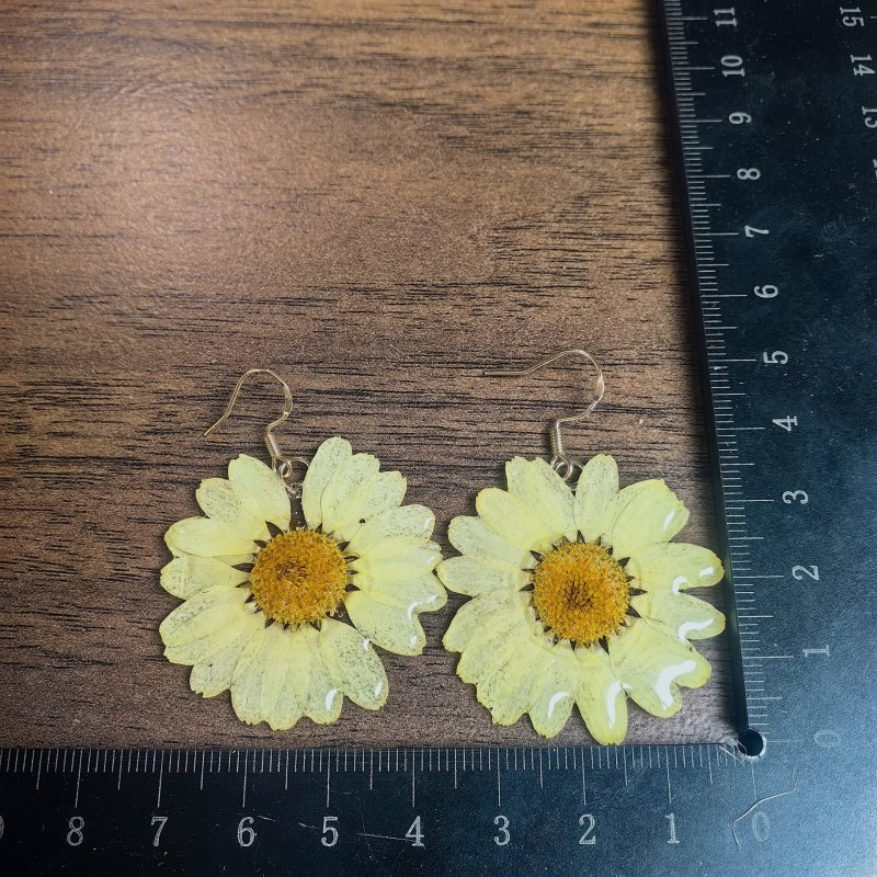 Cute Plant Series Earrings Han - đánh giá và giá Dried Flower Bouquet