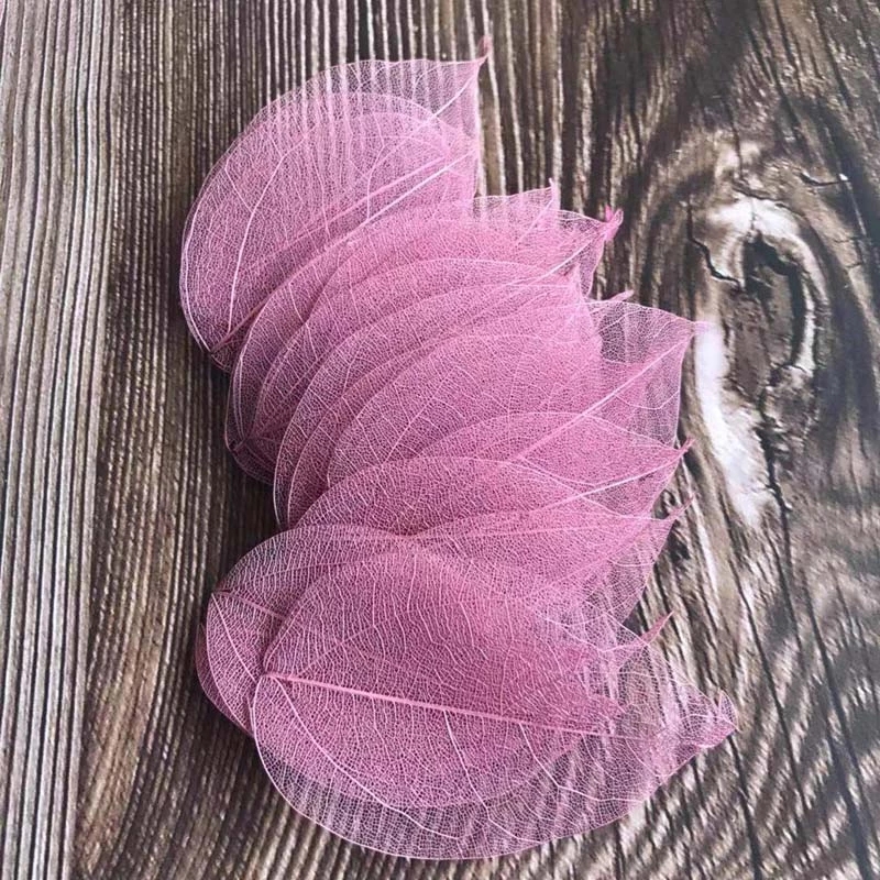5 ~ 9CM * 2 ~ 3.5CM, bộ 50 Chấ - đánh giá và giá Dried Flower Bouquet