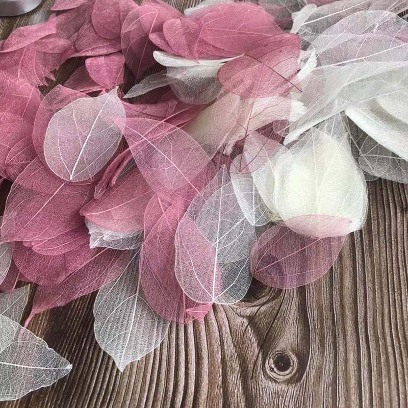 5 ~ 9CM * 2 ~ 3.5CM, bộ 50 Chấ - đánh giá và giá Dried Flower Bouquet