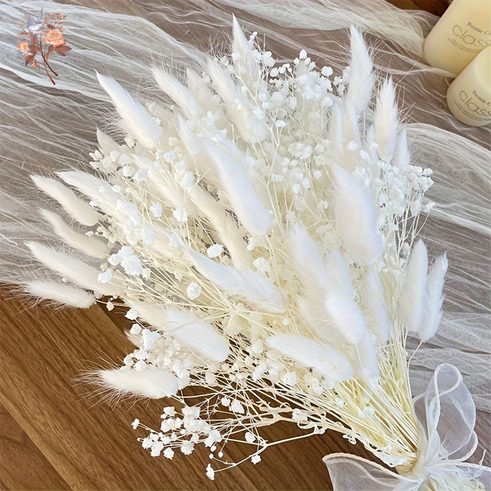 54Pcs White Dried Flower Brida - đánh giá và giá Dried Flower Bouquet