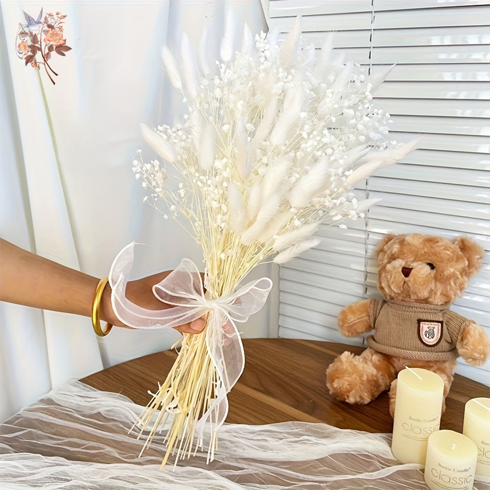 54Pcs White Dried Flower Brida - đánh giá và giá Dried Flower Bouquet