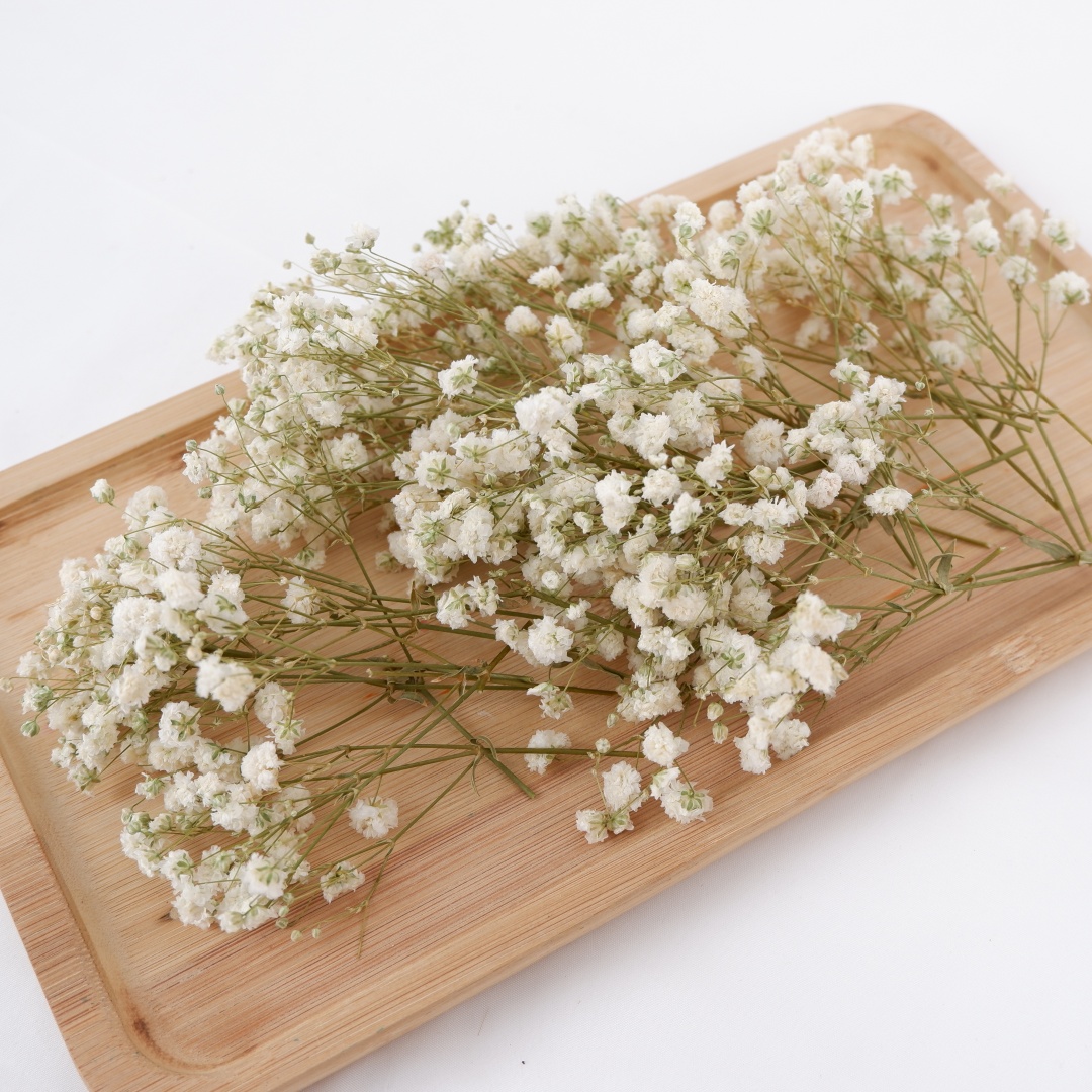 Dried Flowers White Mini Dried - đánh giá và giá Dried Flower Bouquet