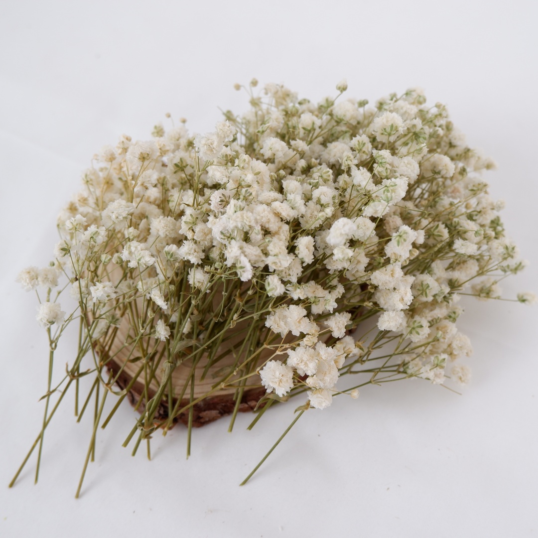 Dried Flowers White Mini Dried - đánh giá và giá Dried Flower Bouquet