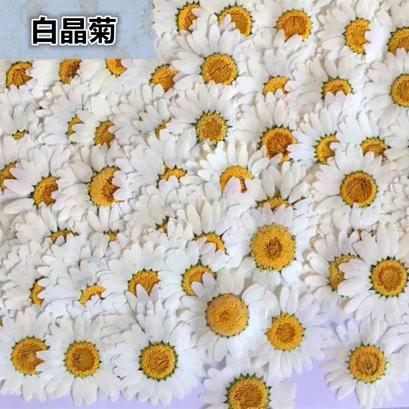 100Pcs Natural White Crystal C - đánh giá và giá Dried Flower Bouquet