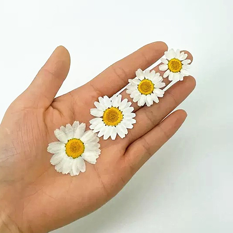100Pcs Natural White Crystal C - đánh giá và giá Dried Flower Bouquet