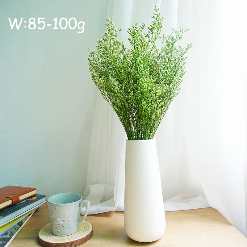 INS Phổ Biến Được Bảo Quản Lễ  - đánh giá và giá Dried Flower Bouquet
