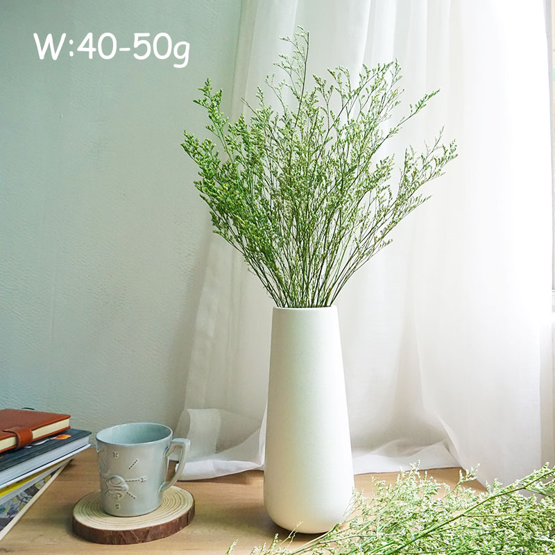 INS Phổ Biến Được Bảo Quản Lễ  - đánh giá và giá Dried Flower Bouquet