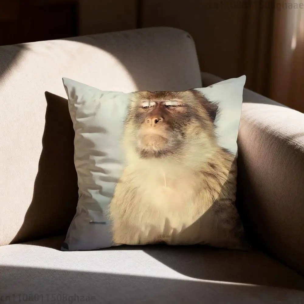 Funny Meme Monkey Cushion Cove - đánh giá và giá Home Decor Emoji