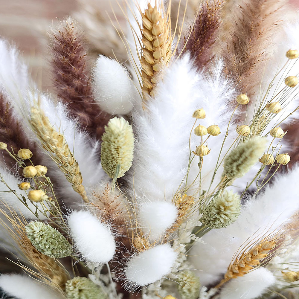 100pcs Dried Pampas Grass Bouq - đánh giá và giá Dried Flower Bouquet