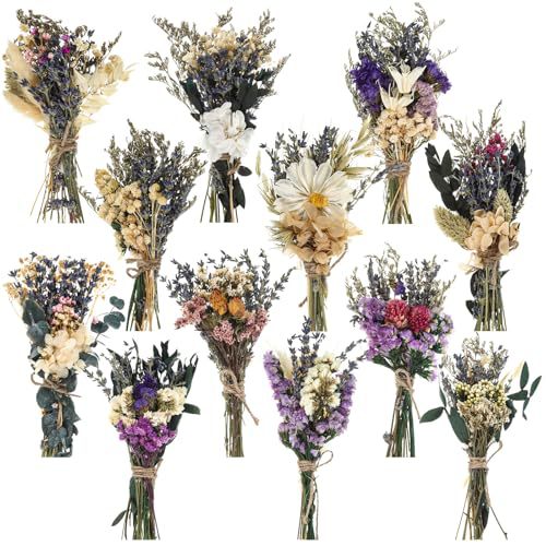 12PCS Mini Dried Flower Bouque - đánh giá và giá Dried Flower Bouquet