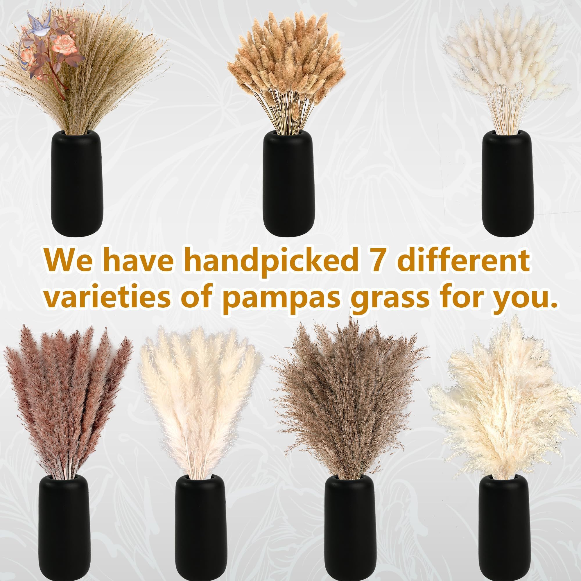 300Pcs Natural Large Pampas Gr - đánh giá và giá Dried Flower Bouquet