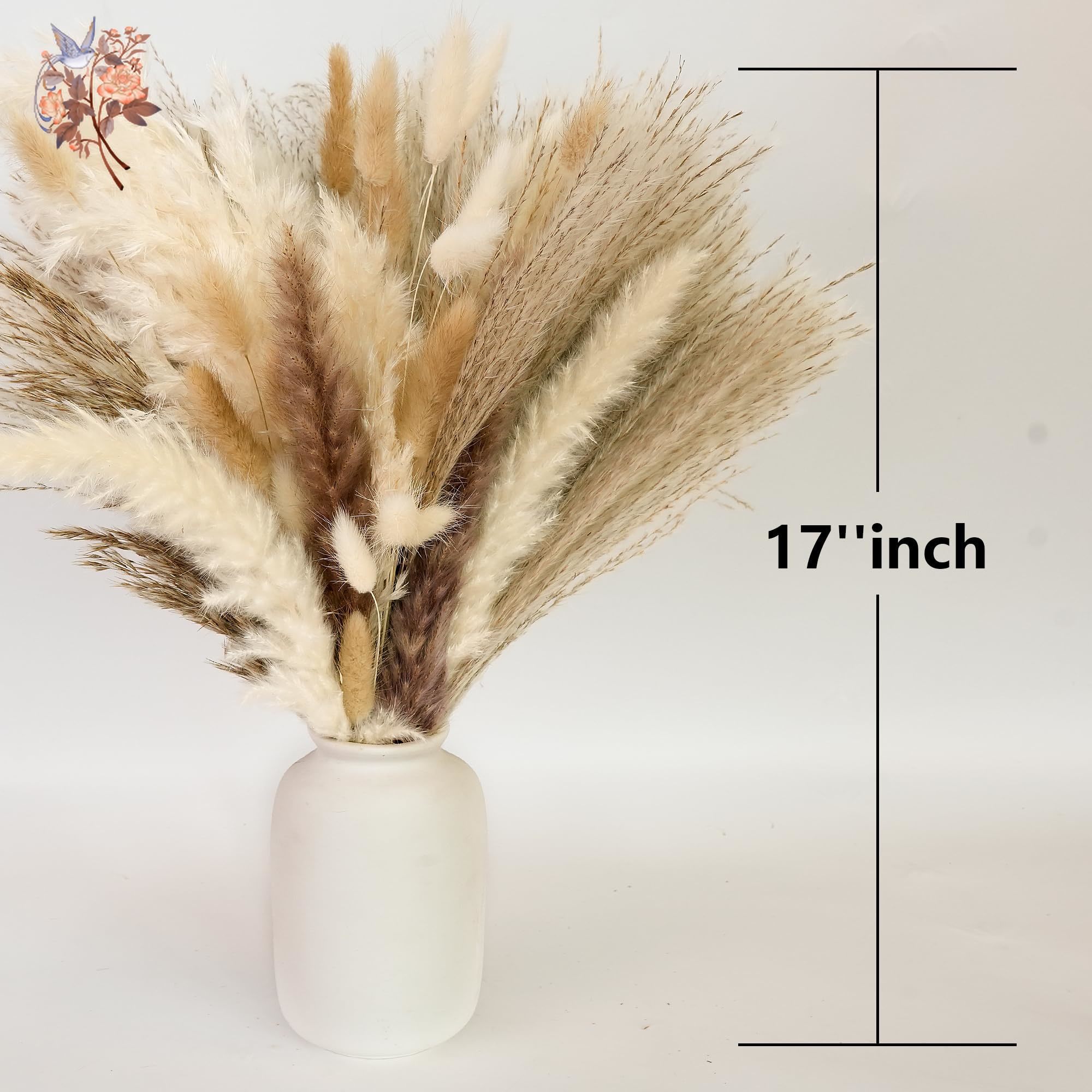 300Pcs Natural Large Pampas Gr - đánh giá và giá Dried Flower Bouquet