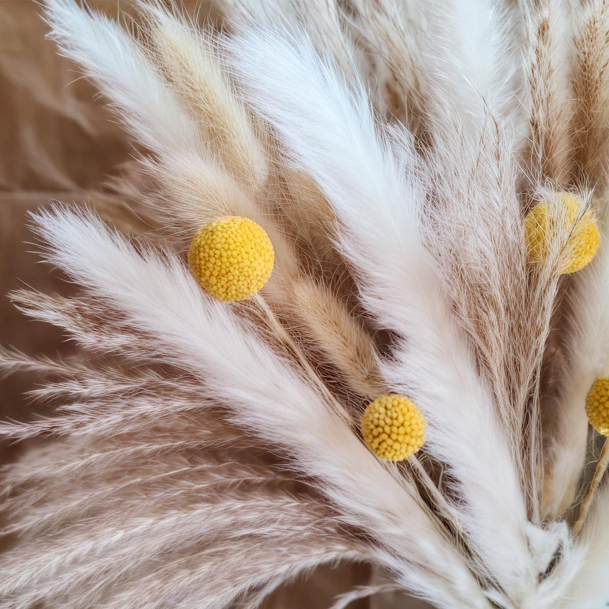 Dried Pampas Grass Bouquet Nat - đánh giá và giá Dried Flower Bouquet