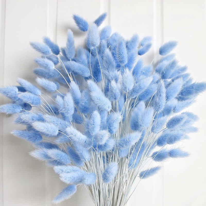 100PCS Blue Hare's-tail Grass  - đánh giá và giá Dried Flower Bouquet
