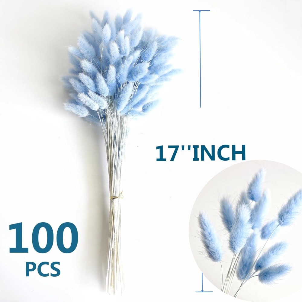 100PCS Blue Hare's-tail Grass  - đánh giá và giá Dried Flower Bouquet
