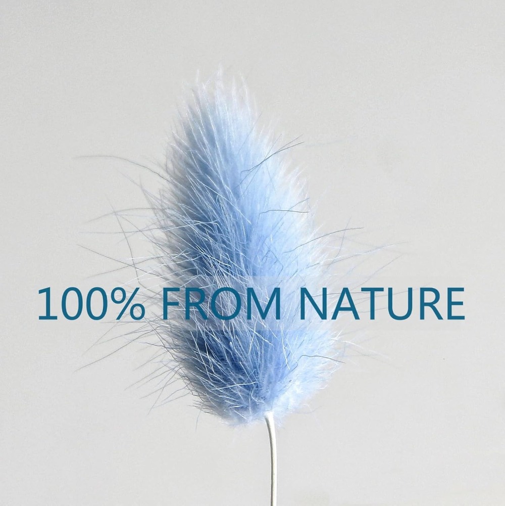 100PCS Blue Hare's-tail Grass  - đánh giá và giá Dried Flower Bouquet