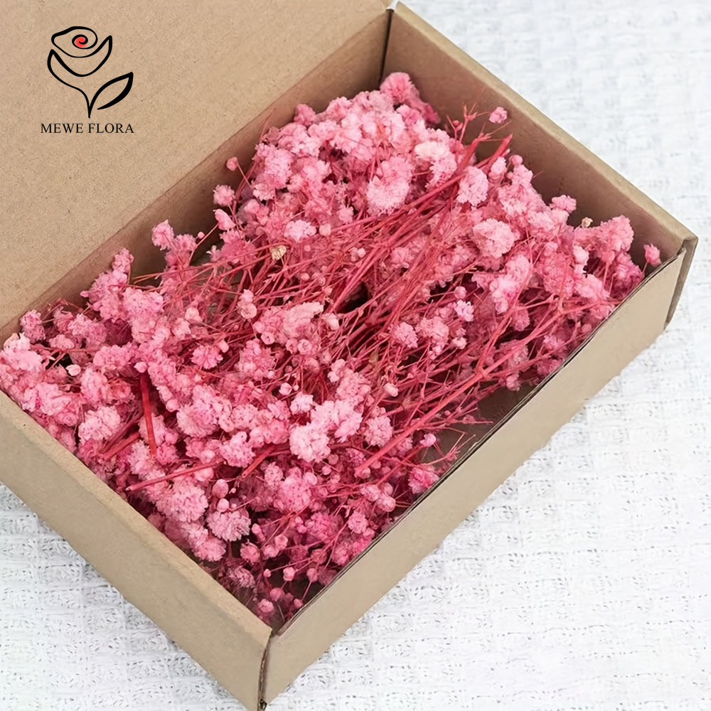 100 Small Branch Dried Baby's  - đánh giá và giá Dried Flower Bouquet