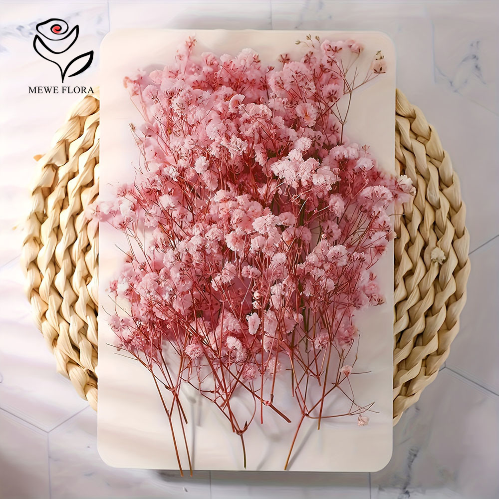 100 Small Branch Dried Baby's  - đánh giá và giá Dried Flower Bouquet