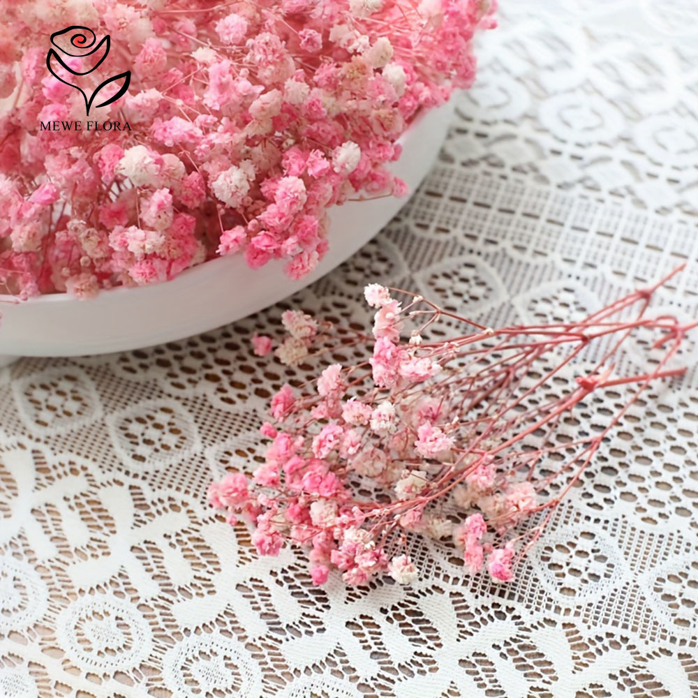 100 Small Branch Dried Baby's  - đánh giá và giá Dried Flower Bouquet