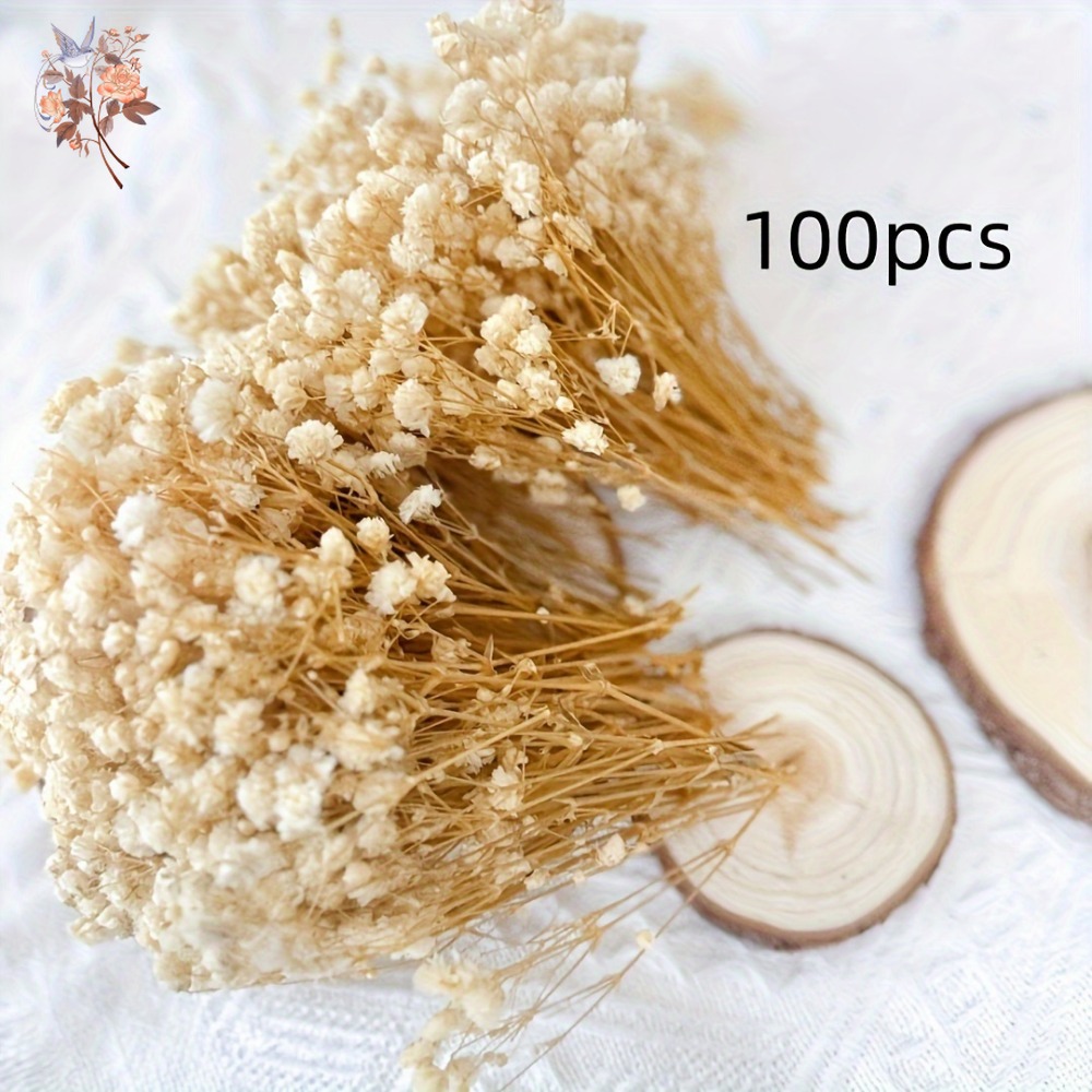 100pcs Mini Dried Baby's Breat - đánh giá và giá Dried Flower Bouquet