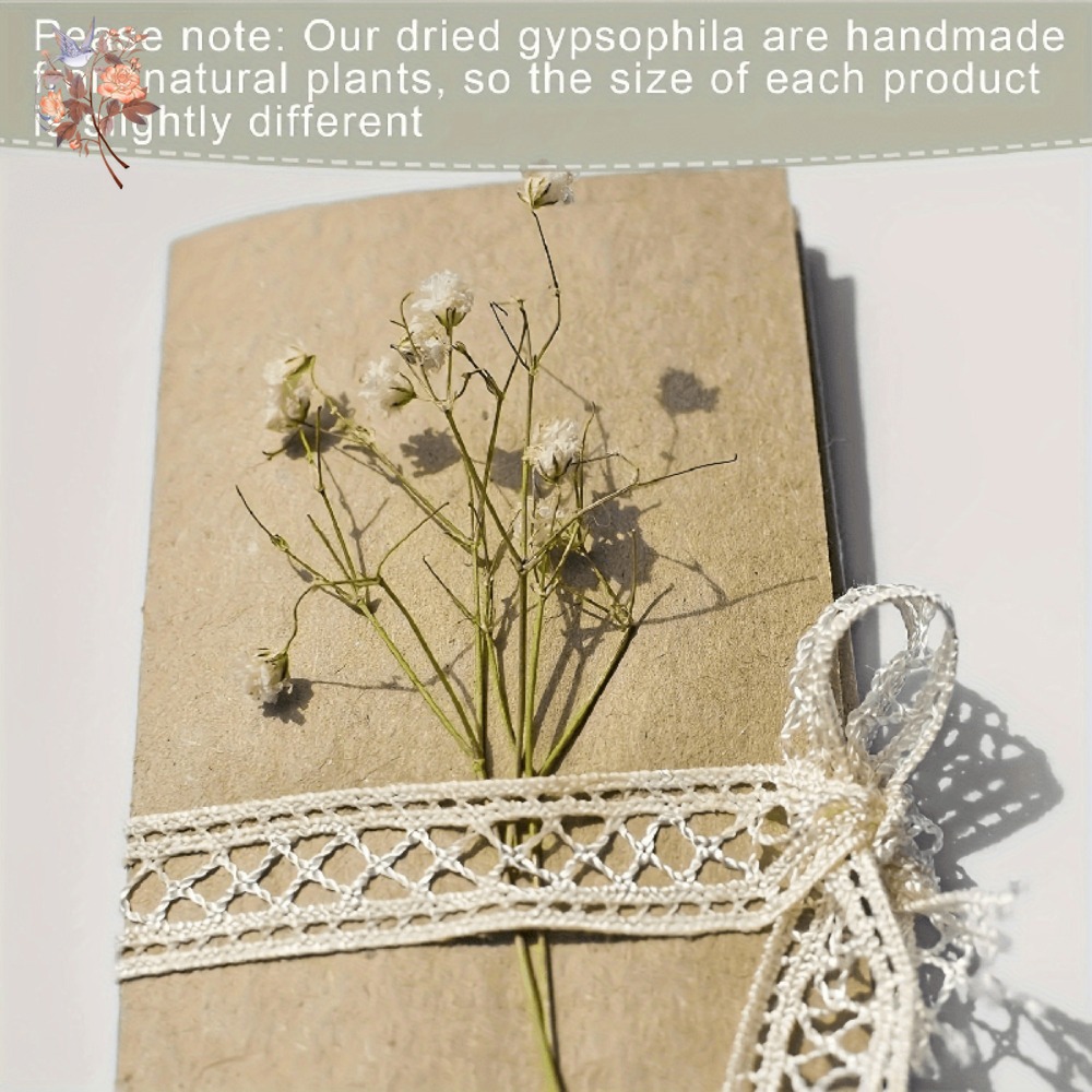 100pcs Mini Dried Baby's Breat - đánh giá và giá Dried Flower Bouquet